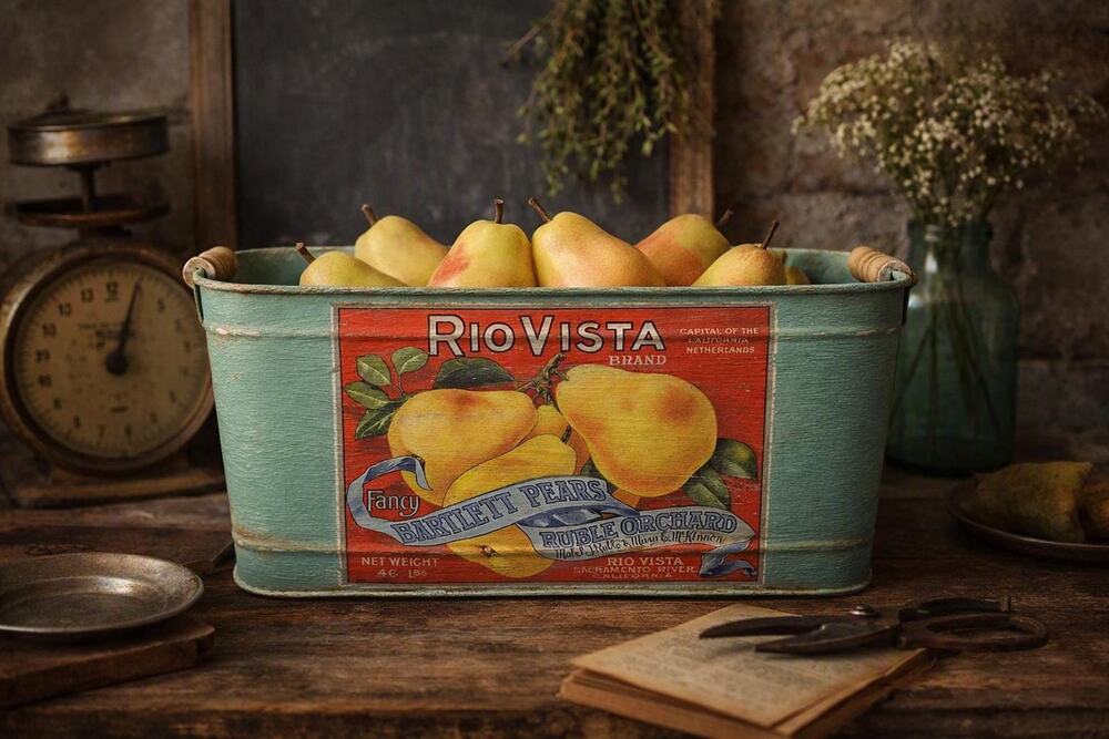 Vintage Metal Fruit Crate Bartlett Pear Storage Bin Farmhouse Kitchen Decor